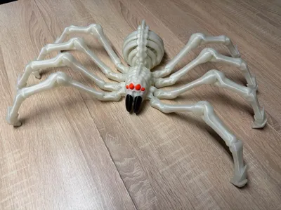 https://makerworld.bblmw.com/makerworld/model/1742828/1914213/ratings/e5f4bd90-b1c9-11f0-afcb-4b529d2f1b0c.jpg