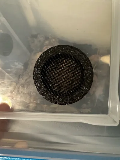 https://makerworld.bblmw.com/makerworld/model/1743451/1853004/ratings/4d83b4d0-8a96-11f0-b282-ebcafbd6c59b.jpg