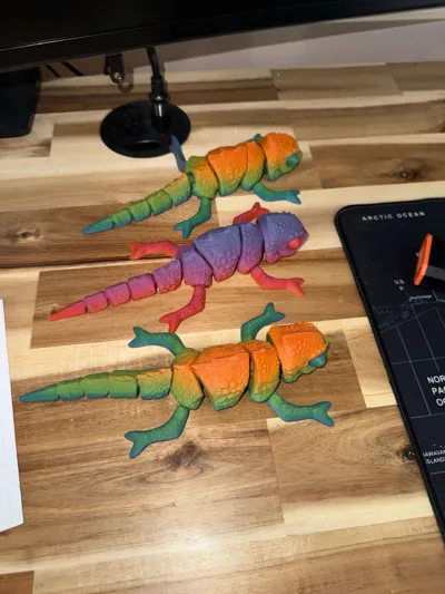 https://makerworld.bblmw.com/makerworld/model/1744181/1853723/ratings/2e539740-ddb3-11f0-a7f2-d5d854aa9df8.jpg