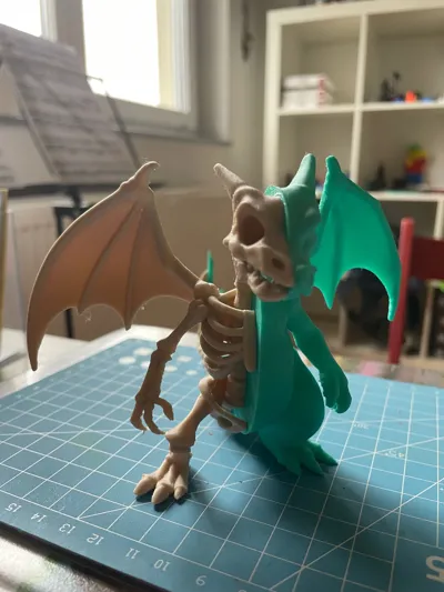 https://makerworld.bblmw.com/makerworld/model/1745027/1854737/ratings/cc2a9410-8da8-11f0-8e78-0f4da1bc1c06.jpg
