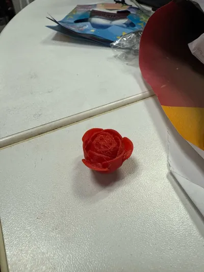 https://makerworld.bblmw.com/makerworld/model/1745391/1855157/ratings/5fad89f0-8fb0-11f0-a41b-55f8063d4218.jpg