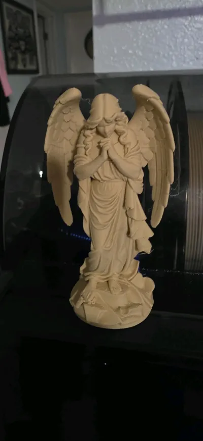 https://makerworld.bblmw.com/makerworld/model/1746831/1856740/ratings/f2e56600-8b75-11f0-90d8-a9459e497dd8.jpg