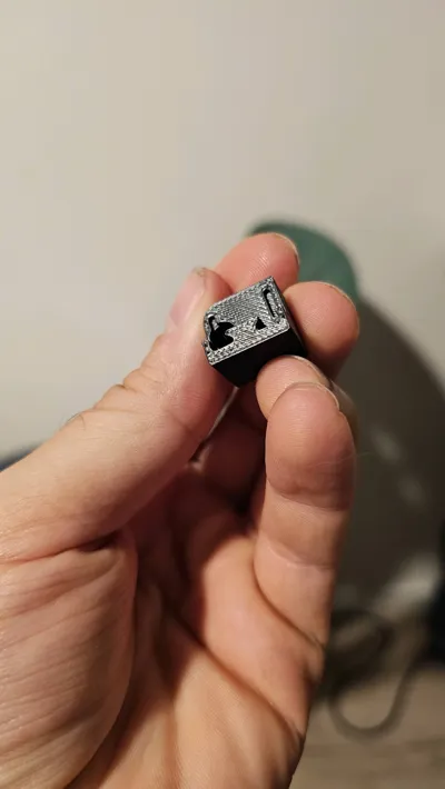 https://makerworld.bblmw.com/makerworld/model/1746956/1856868/ratings/ffbcfab0-9f15-11f0-aff9-ad8906e9f806.jpg