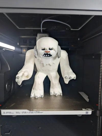 https://makerworld.bblmw.com/makerworld/model/1747323/1857299/ratings/47baefe0-c642-11f0-86a2-f7c68aa01f19.jpg