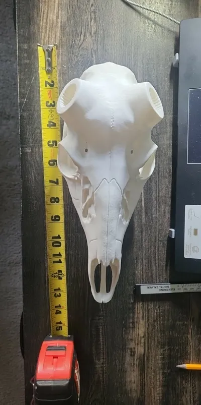 https://makerworld.bblmw.com/makerworld/model/1747948/1858008/ratings/15b45ea0-facc-11f0-9aa3-7958f31dfb16.png