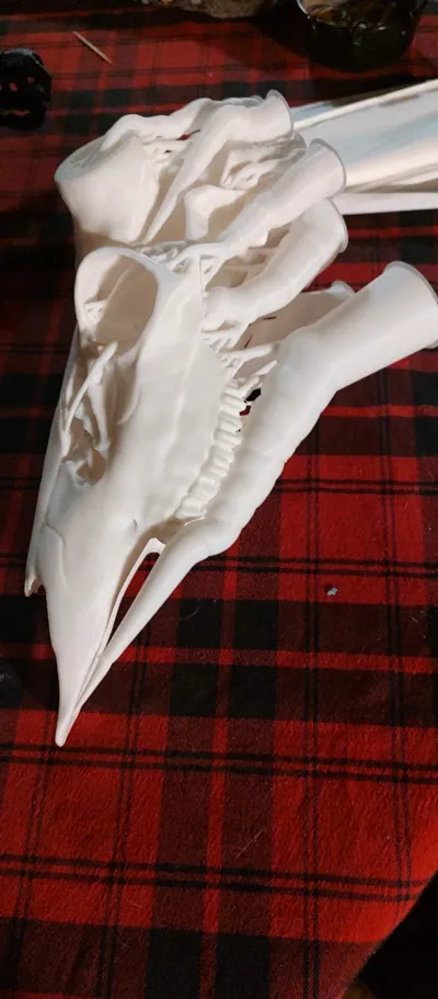 https://makerworld.bblmw.com/makerworld/model/1747948/1858008/ratings/6a45a060-f6ca-11f0-b699-fd1c75f721e7.jpg