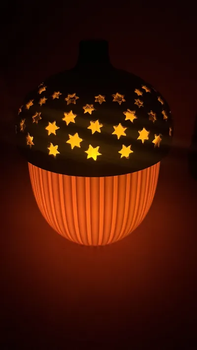 https://makerworld.bblmw.com/makerworld/model/1748250/1858384/ratings/1f852650-8a72-11f0-8c6d-a102a7bfaee8.jpg