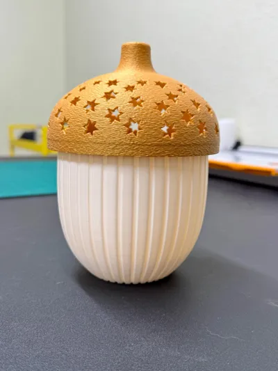 https://makerworld.bblmw.com/makerworld/model/1748250/1858384/ratings/e9a054c0-9d62-11f0-a9a1-094b40c2115b.jpg