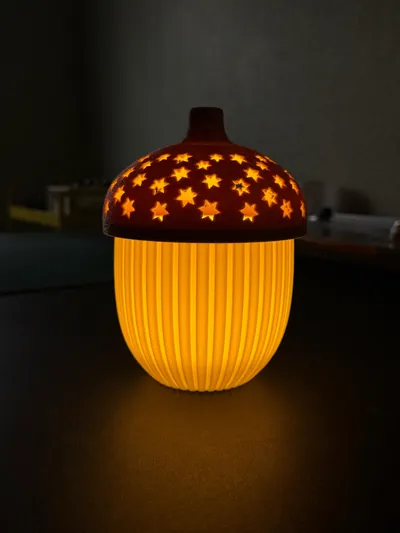 https://makerworld.bblmw.com/makerworld/model/1748250/1858384/ratings/e9a536c0-9d62-11f0-a9a1-094b40c2115b.jpg