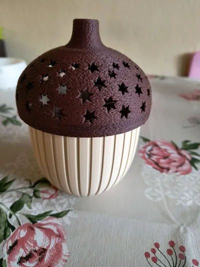 https://makerworld.bblmw.com/makerworld/model/1748250/1858384/ratings/f63617d0-97cf-11f0-b750-6164dd51d415.jpg