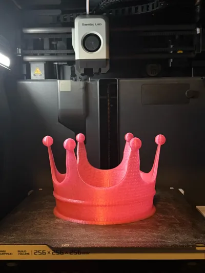 https://makerworld.bblmw.com/makerworld/model/1748601/1858751/ratings/e6434c20-f6bc-11f0-bf95-41fb6b354d48.jpg