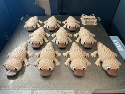 https://makerworld.bblmw.com/makerworld/model/1748741/1858901/ratings/10a1ebf0-a23c-11f0-ae45-db74b0d50904.jpg