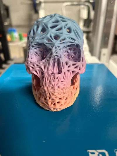 https://makerworld.bblmw.com/makerworld/model/175119/192600/ratings/349c19f0-1fe6-11f0-baee-4beccac1fb5e.jpg