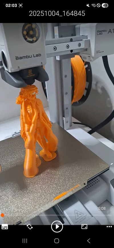 https://makerworld.bblmw.com/makerworld/model/1751593/1910841/ratings/6747ac40-a7f2-11f0-a785-a93eb9b1a46e.jpg