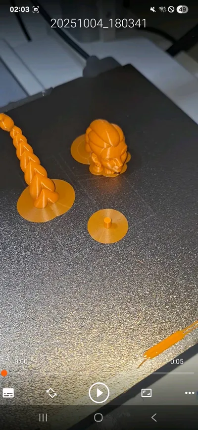 https://makerworld.bblmw.com/makerworld/model/1751593/1910841/ratings/674c6730-a7f2-11f0-a785-a93eb9b1a46e.jpg