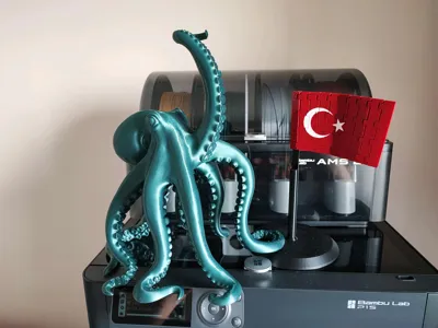https://makerworld.bblmw.com/makerworld/model/1751877/1862535/ratings/b6728f20-bbd3-11f0-b906-7b54059a3660.jpg