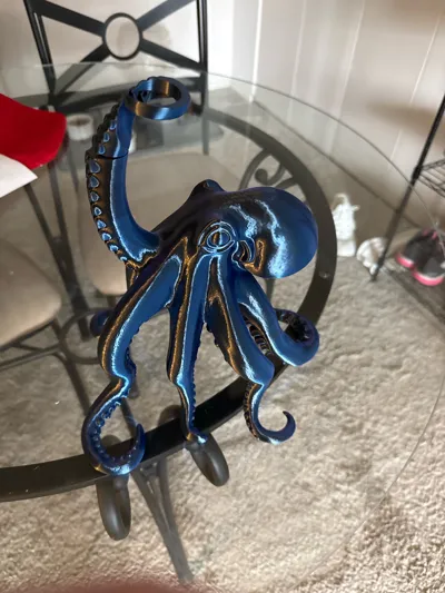 https://makerworld.bblmw.com/makerworld/model/1751877/1862561/ratings/3a614f70-db5e-11f0-b440-9b62b43abe25.jpg