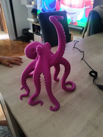https://makerworld.bblmw.com/makerworld/model/1751877/1862561/ratings/c75e63d0-8d99-11f0-bc03-7b505b1ed375.jpg