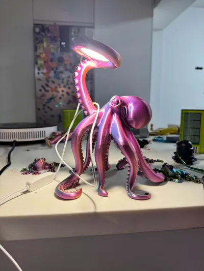 https://makerworld.bblmw.com/makerworld/model/1751877/1886790/ratings/1ee293f0-ea89-11f0-81d8-ff2e2a243464.jpg