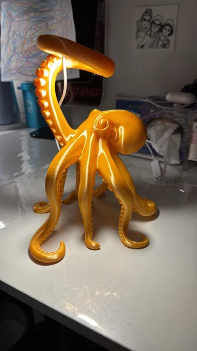 https://makerworld.bblmw.com/makerworld/model/1751877/1886790/ratings/91786460-9121-11f0-b7e6-f32190a6cb3f.jpg
