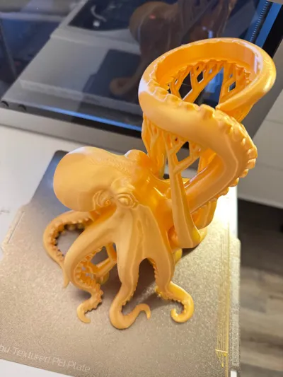 https://makerworld.bblmw.com/makerworld/model/1751877/1886790/ratings/917b4a90-9121-11f0-b7e6-f32190a6cb3f.jpg