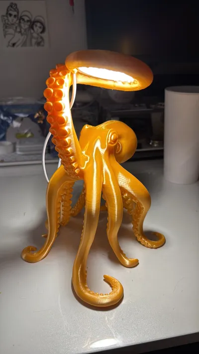 https://makerworld.bblmw.com/makerworld/model/1751877/1886790/ratings/917c0de0-9121-11f0-b7e6-f32190a6cb3f.jpg