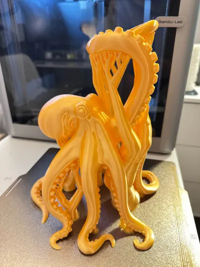 https://makerworld.bblmw.com/makerworld/model/1751877/1886790/ratings/917f6940-9121-11f0-b7e6-f32190a6cb3f.jpg