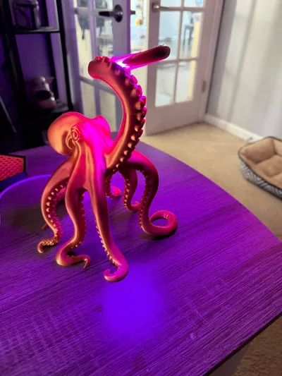 https://makerworld.bblmw.com/makerworld/model/1751877/1886794/ratings/55ffec20-a14b-11f0-aed7-9140c5dd8b42.jpg
