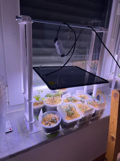 https://makerworld.bblmw.com/makerworld/model/175206/192687/ratings/bb1d2060-170c-11f0-8358-7d18c402a74f.jpg