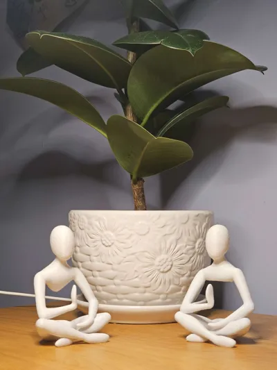 https://makerworld.bblmw.com/makerworld/model/175293/193557/ratings/618e6080-b613-11f0-b2d6-b31acd62fd68.jpg