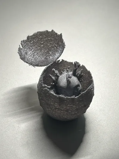 https://makerworld.bblmw.com/makerworld/model/1753585/1864556/ratings/3c516120-ed9d-11f0-afe6-839c6327c566.jpg
