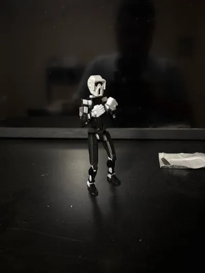 https://makerworld.bblmw.com/makerworld/model/175365/209061/ratings/9b6520f0-29b9-11f0-bcc7-a193b4409b6e.jpg