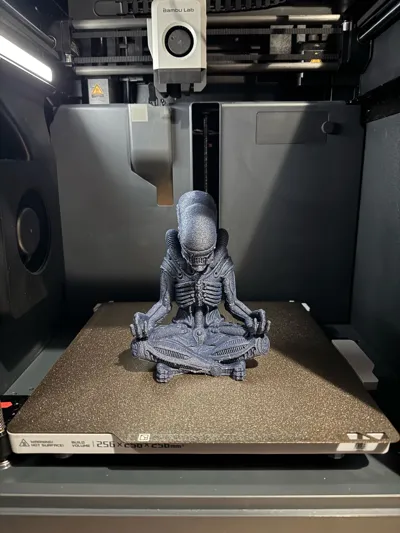 https://makerworld.bblmw.com/makerworld/model/1753854/1864908/ratings/bd903270-f888-11f0-a546-3ffcbad460be.jpg