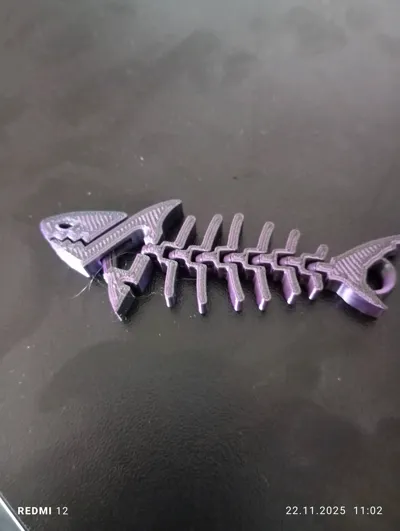 https://makerworld.bblmw.com/makerworld/model/1754197/1865289/ratings/ba59b1a0-c78a-11f0-8c35-1d9fa5e7a84f.jpg