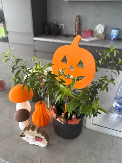 https://makerworld.bblmw.com/makerworld/model/1755549/1866883/ratings/9dc2b980-9916-11f0-a931-4b5e8757a426.jpg