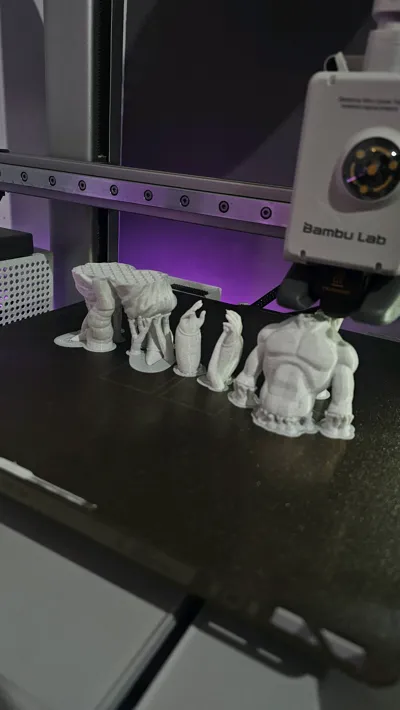 https://makerworld.bblmw.com/makerworld/model/1755953/1867368/ratings/617fc7e0-d7fc-11f0-819d-4706a7954c12.jpg