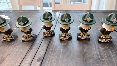 https://makerworld.bblmw.com/makerworld/model/1756725/1868278/ratings/6fbfc370-f4e2-11f0-bb59-4bbf6681a977.jpg