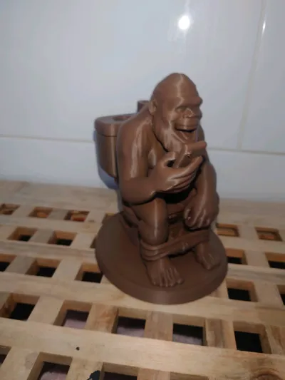https://makerworld.bblmw.com/makerworld/model/1758126/1869932/ratings/969bd710-b287-11f0-9177-af5a6e2fb320.jpg