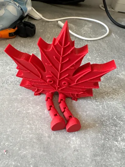 https://makerworld.bblmw.com/makerworld/model/1758698/1870602/ratings/f222d8c0-b969-11f0-ab36-fbf4cad97a20.jpg