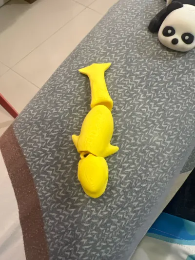 https://makerworld.bblmw.com/makerworld/model/1760044/1872248/ratings/d0e6bb70-8a59-11f0-bbd6-43c54933bca5.jpg