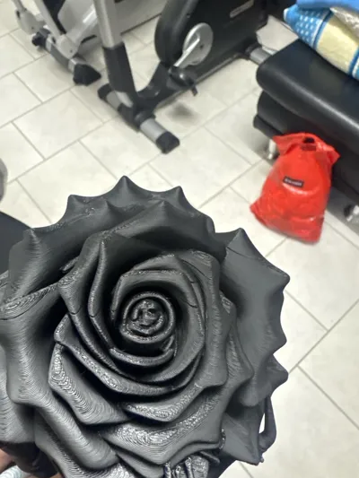 https://makerworld.bblmw.com/makerworld/model/1760154/1872385/ratings/47bf2ab0-d97f-11f0-aea8-0b67ae8b0912.jpg