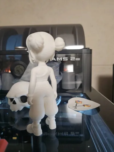 https://makerworld.bblmw.com/makerworld/model/1760254/1872489/ratings/ee01b7f0-caa5-11f0-8203-eda43bc8317e.jpg