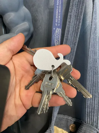 https://makerworld.bblmw.com/makerworld/model/1762335/1874972/ratings/5bc011b0-8992-11f0-a8c9-0393a4225d35.jpg