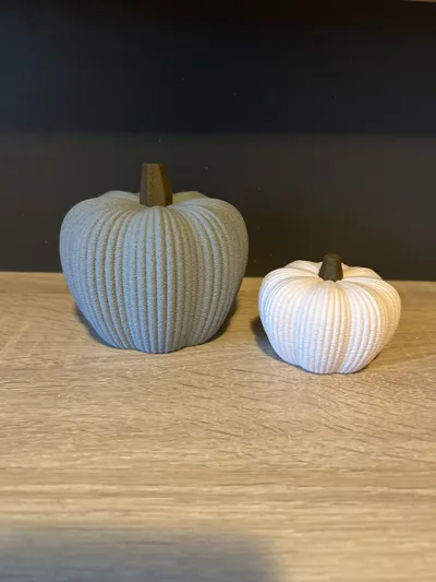 https://makerworld.bblmw.com/makerworld/model/1762970/1875721/ratings/55209d50-9321-11f0-89c7-3f079fcfb6a1.jpg