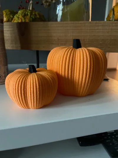 https://makerworld.bblmw.com/makerworld/model/1762970/1875721/ratings/62067a70-b1a4-11f0-9289-dfd88a9a4551.jpg
