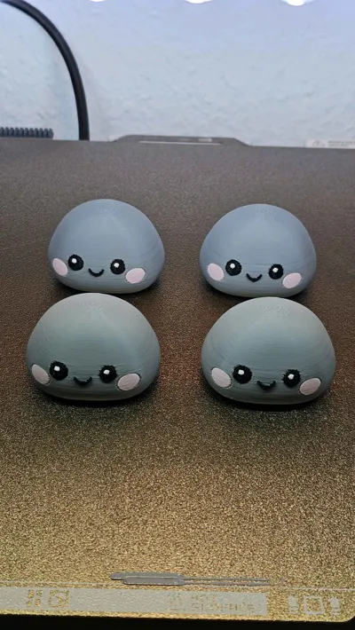 https://makerworld.bblmw.com/makerworld/model/1763988/1876941/ratings/ac4eb790-bfd3-11f0-8225-29ef1b50f626.jpg