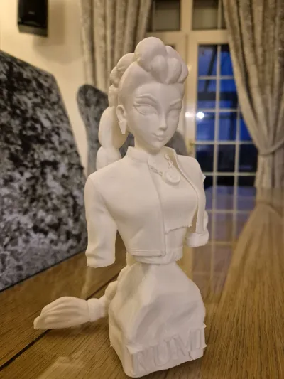 https://makerworld.bblmw.com/makerworld/model/1764013/1880557/ratings/05f2fe50-ad82-11f0-9d7e-1370777a1d13.jpg