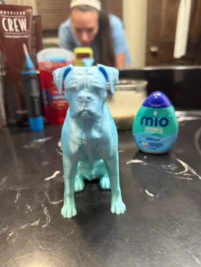 https://makerworld.bblmw.com/makerworld/model/1764611/1877714/ratings/c0e9e570-f4fe-11f0-8f34-c1c4c6dd8012.jpg