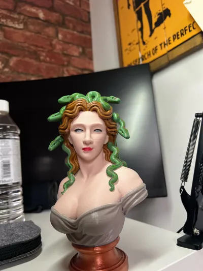 https://makerworld.bblmw.com/makerworld/model/1766414/1879889/ratings/44e38bf0-9308-11f0-8378-b14e45088aa1.jpg