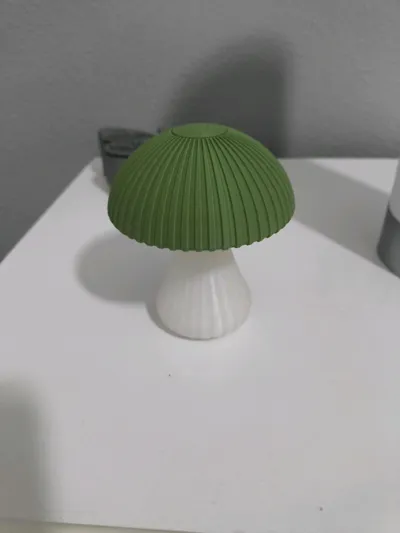 https://makerworld.bblmw.com/makerworld/model/1767150/1880759/ratings/3ea8c530-a48c-11f0-9b9e-ab83619000c3.jpg